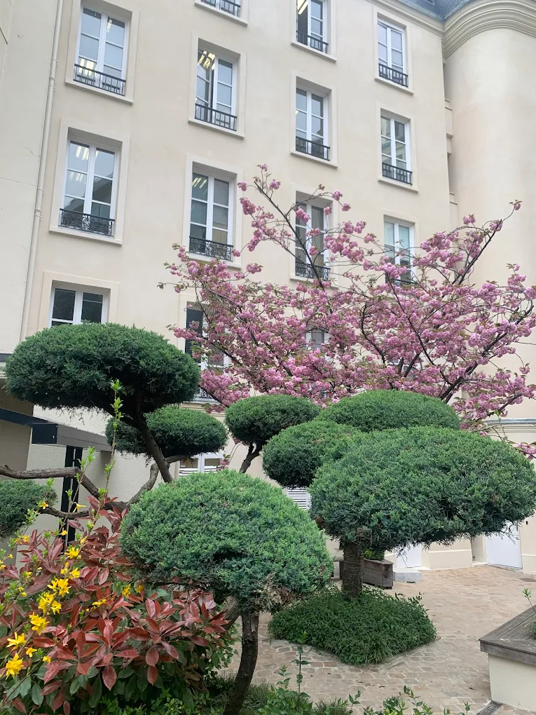 Taille et entretien de végétaux dans les Yvelines